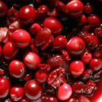 Winter Cranberry Sauce: A Tangy Twist for Cozy Feasts
