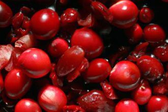 Winter Cranberry Sauce: A Tangy Twist for Cozy Feasts